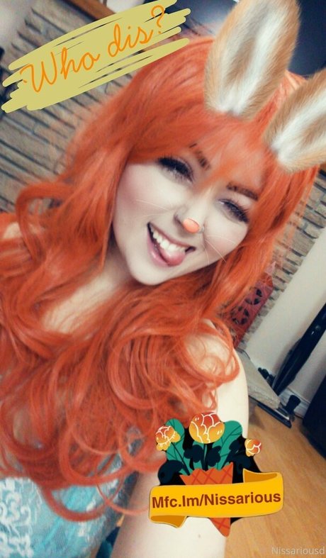 nissariousd perfekte sex galerie