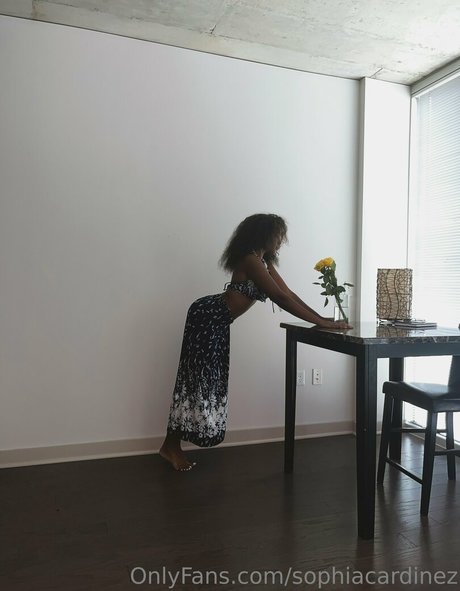 sophiacardinez sexy pornostar galerien