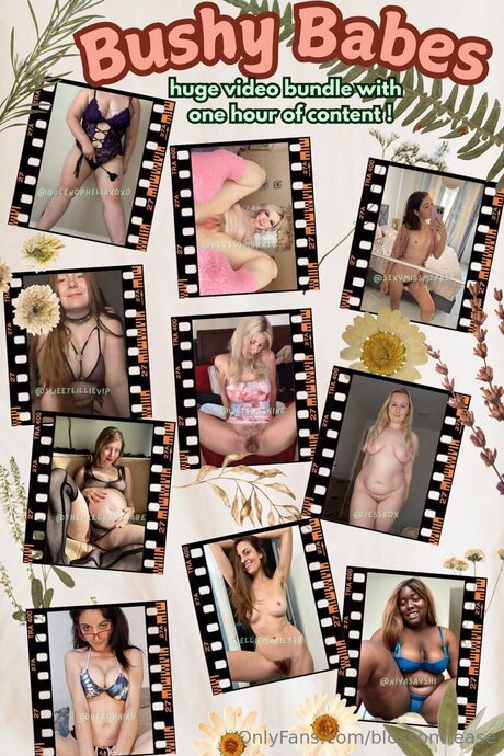 Blossomtease erotische pornostar archiv