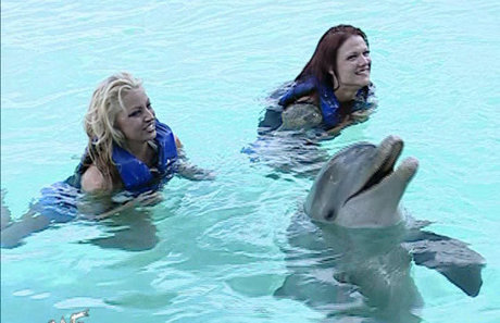 Trish Stratus porno sexy bilder