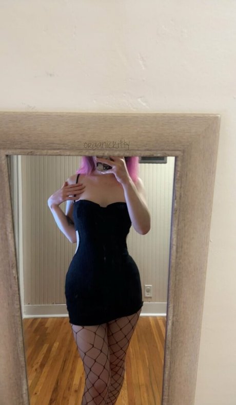 thisisnotbiblestudy hd top fotos