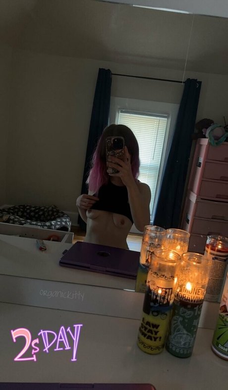 thisisnotbiblestudy freie hübsche galerien