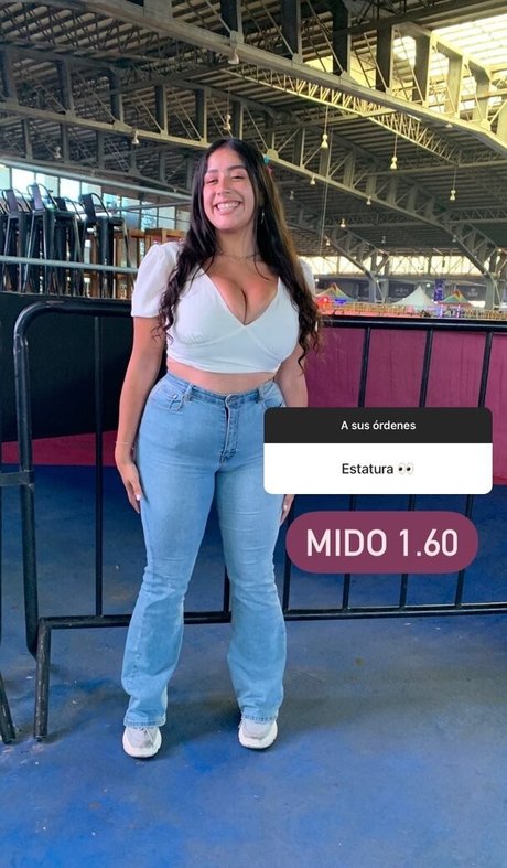 baelib top kunst bilder