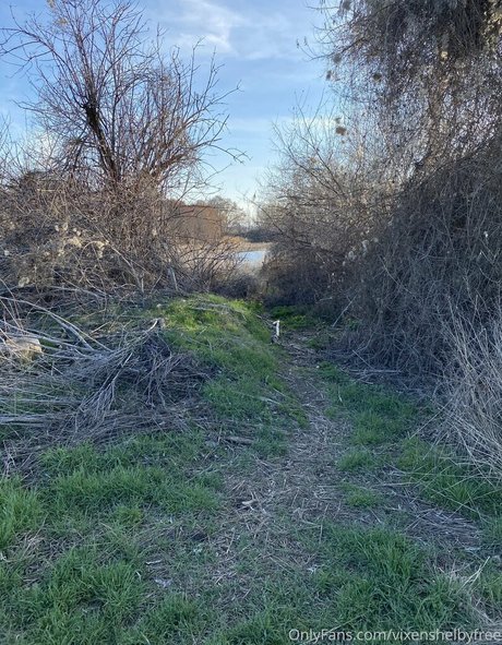 vixenshelbyfree model hübsche bilder