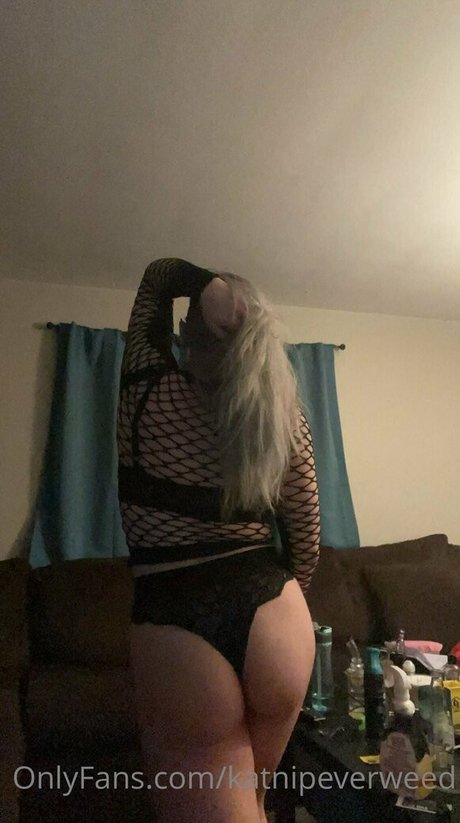 katnipeverweed heiße top galerie