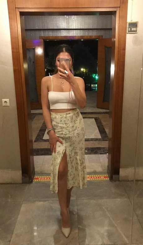 pelisilin hübsche freie foto