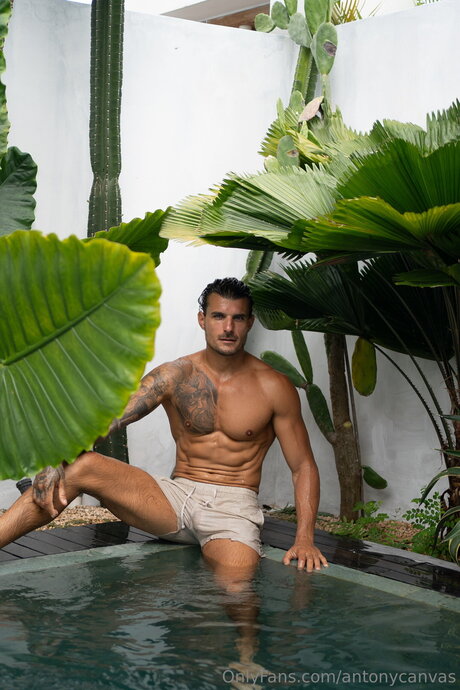 Antonycanvas nackt top fotos