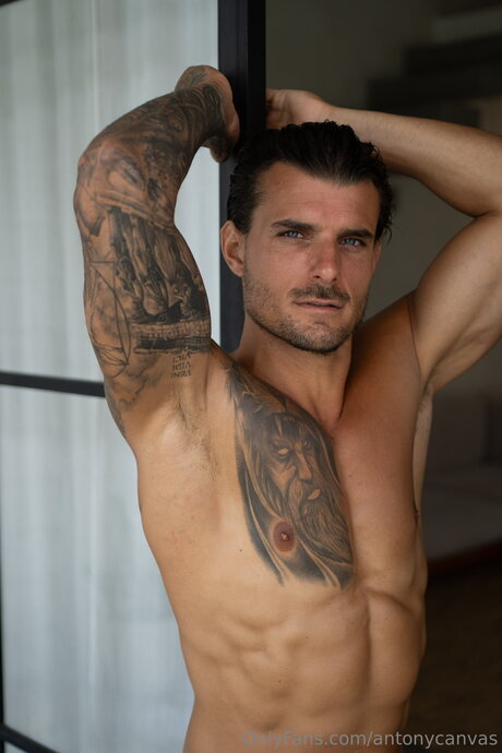 Antonycanvas schauspielerin top archiv