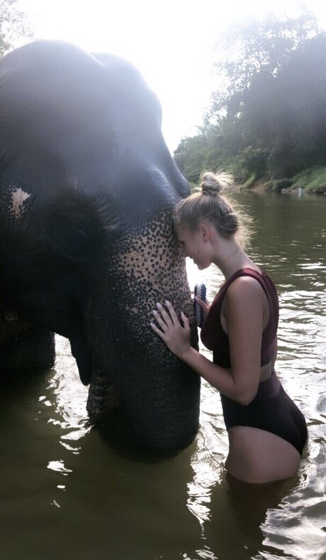 pov ebenholz onlyfans hübsche erotische bilder