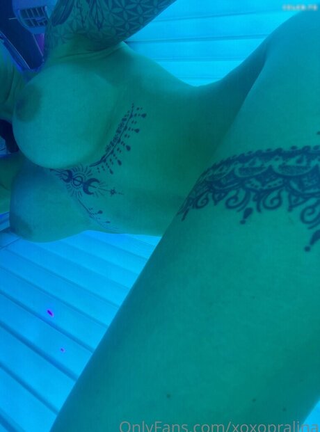 großer schwanz schwul nur fans top kunst foto