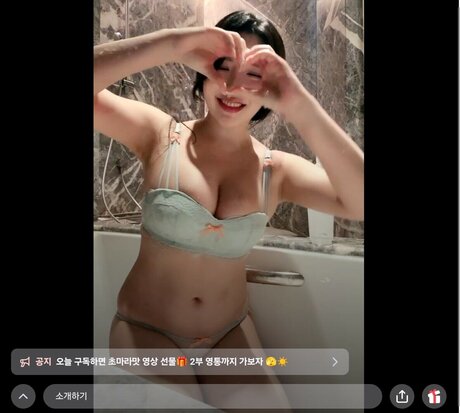 moguu__mogu freie exklusive galerie