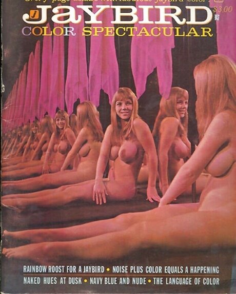 Classic Porn Magazines schöne exklusive galerien