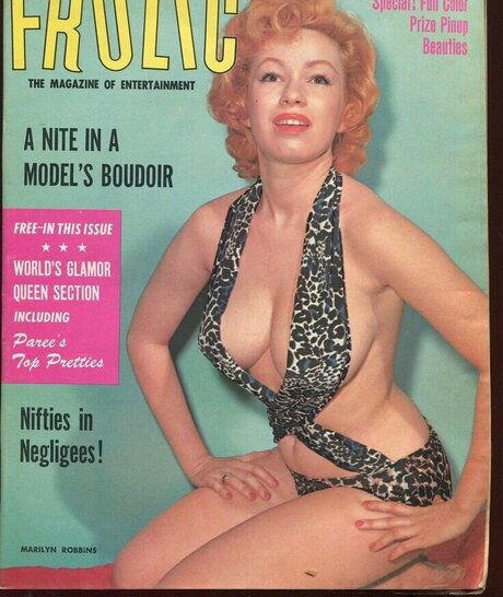 Classic Porn Magazines pornostar erotische archiv