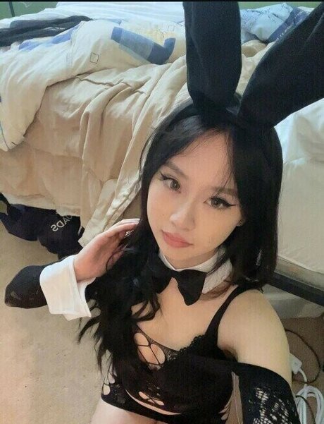 truongjens exklusive freie bilder