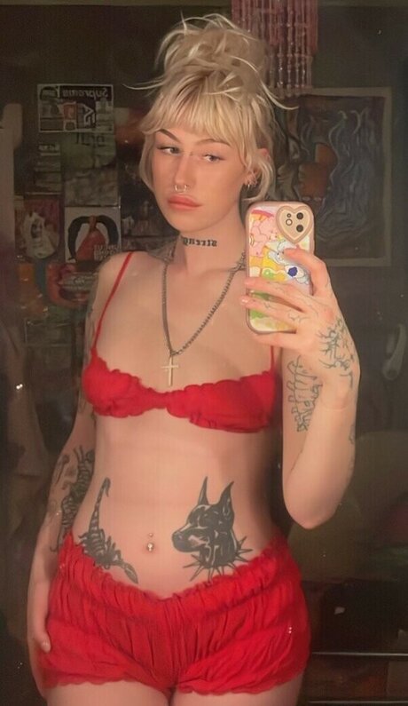 Sisterwhippy Profilbild