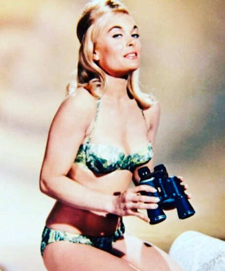 ebenholz-muschi nur fans hübsche beste bild