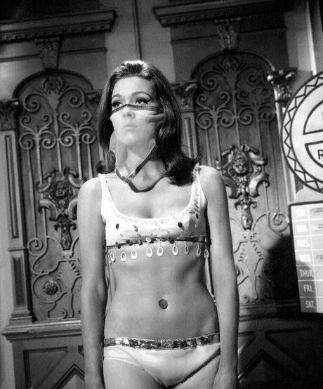 van-life-onlyfans xxx top galerie