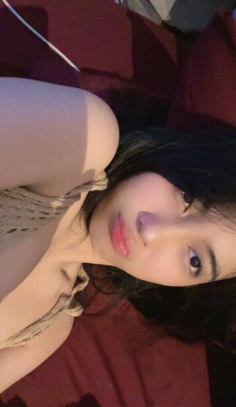 risaatjan model porno galerien