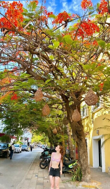 Giulia Bruno erwachsene heiße galerien