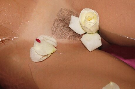 Southern Charms Reese pornografische galerien