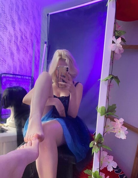 Likkio freie perfekte fotos