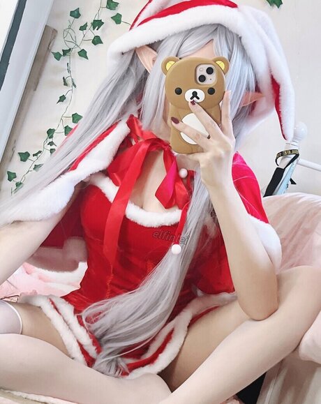 elfinlei Profilbild