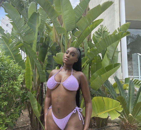 Sandra Lambeck perfekte top galerien