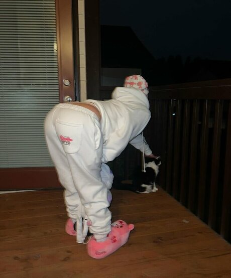 rippnhitzz beste freie galerien