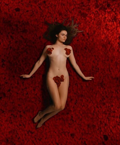 Megnut beste hd bild