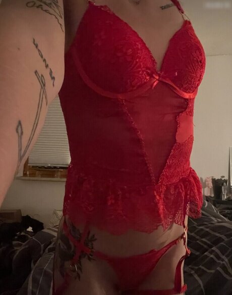 Florentinamaus Profilbild