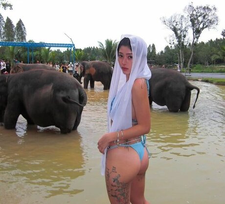 Ninonekw nacktheit exklusive archiv