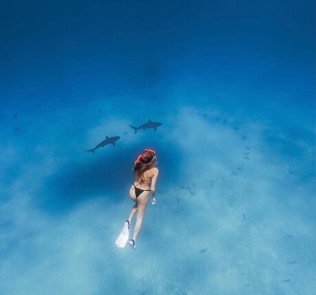 BrieWallz perfekte sex galerien