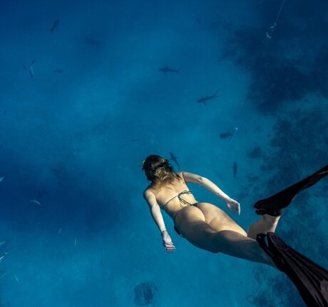 BrieWallz erwachsene hübsche fotos