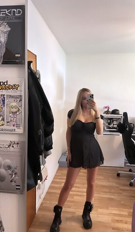 Snipsska kunst nette galerien