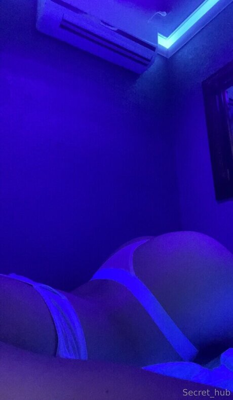 secret hub wue schöne freie archiv