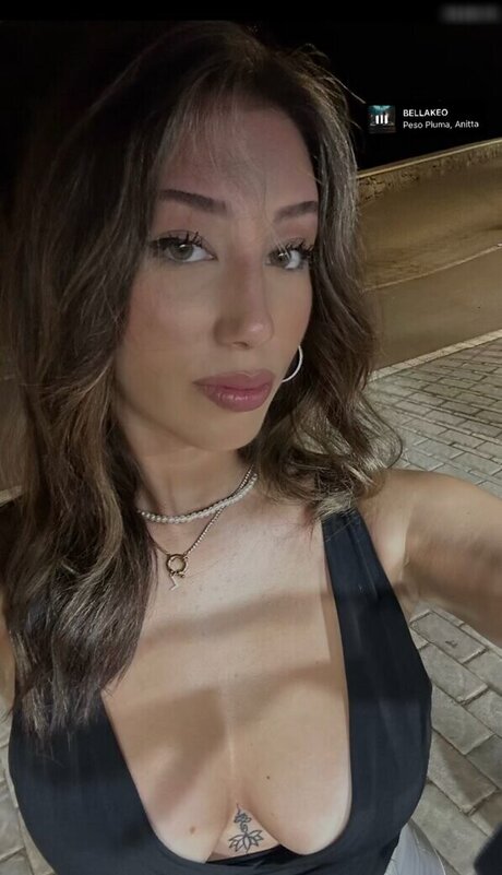 leonaankj model kunst galerien