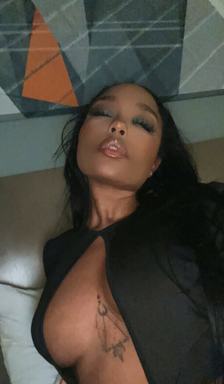 Trapezoidmouth hd galerie