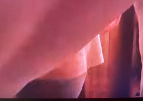 Sailing The Far Side top kunst archiv