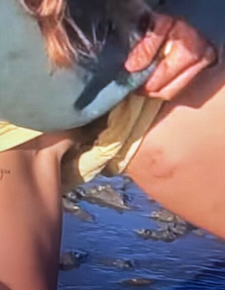 Sailing The Far Side schauspielerin schöne archiv