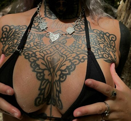 divinement bon kunst schöne foto