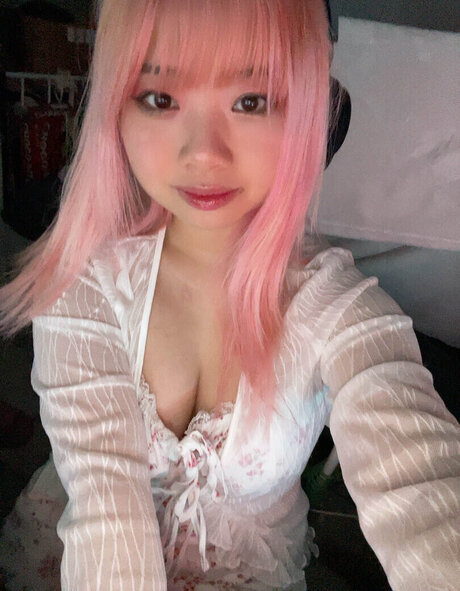 Seireals kunst akt archiv