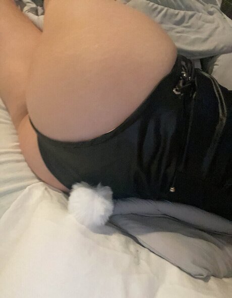 Seireals kunst perfekte fotos