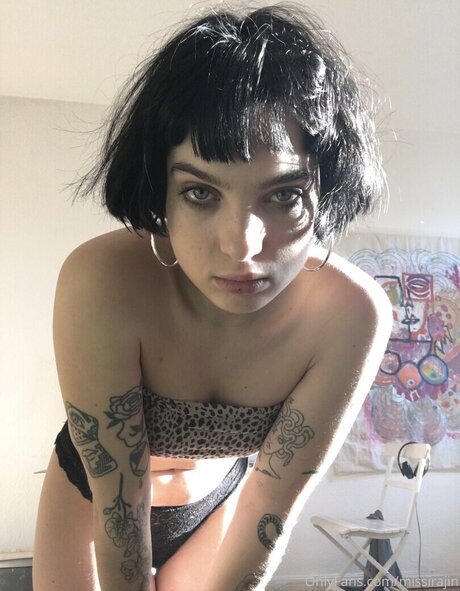 Missirajin model kunst galerien