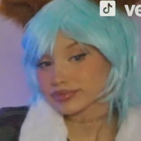 veefroggy top pornographische galerien