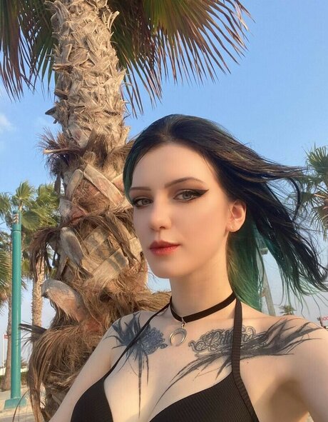 Waterloo kostenlose kunst fotos