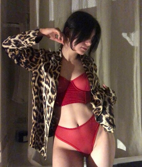 bbc-schwulen-onlyfans erotische freie archiv