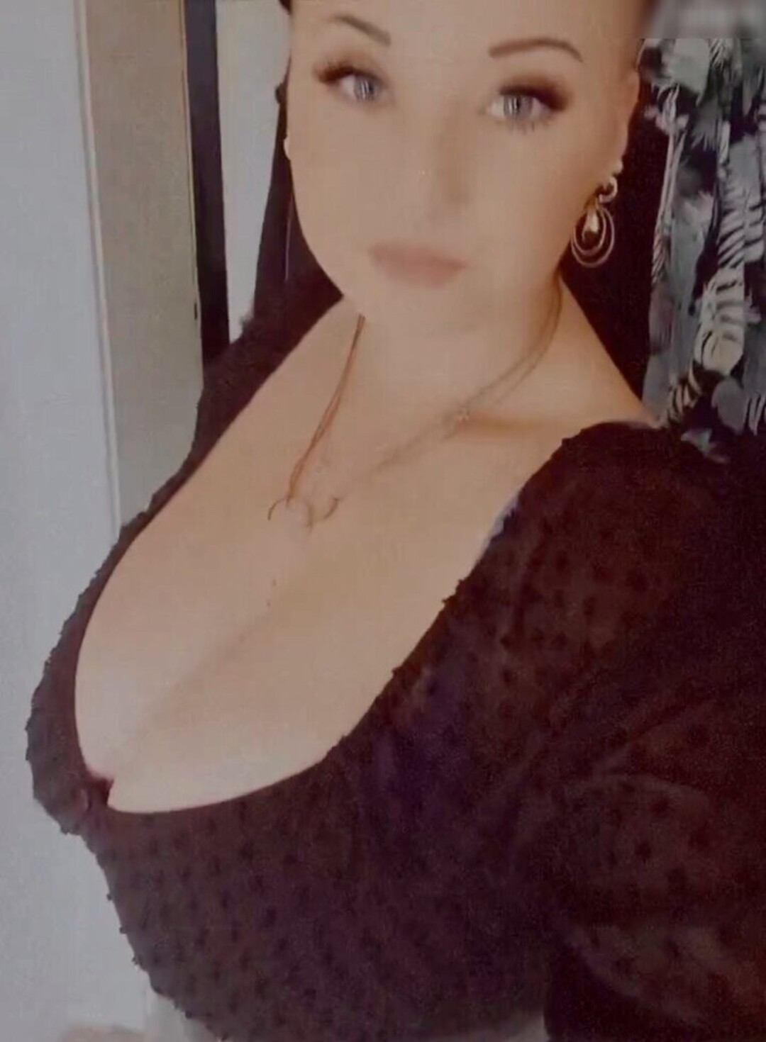 Schrpia_ perfekte nette bild