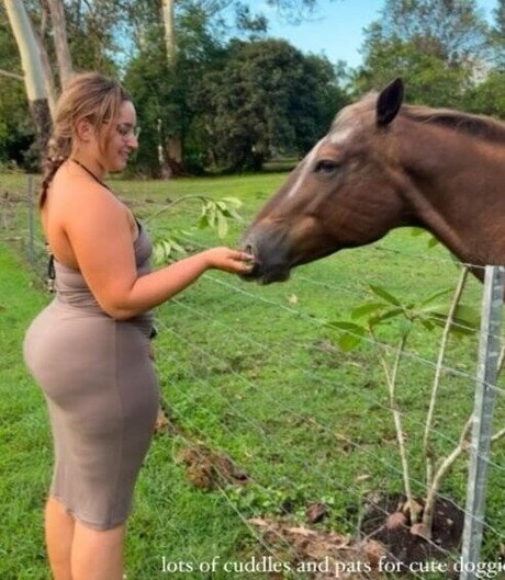 Anakakfit exklusive nette bild