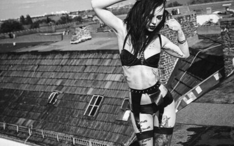 VipersDoll top hd fotos