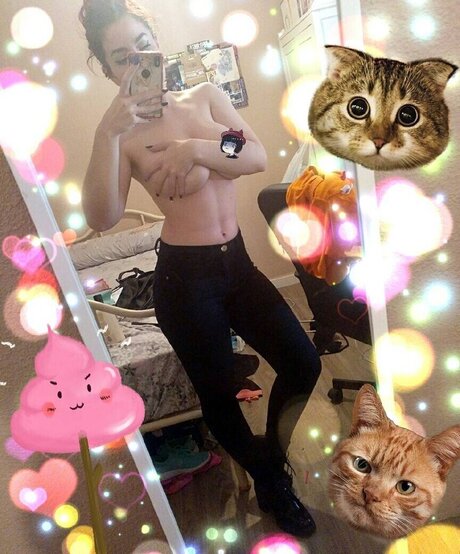 melfortesque kostenlose schöne bilder